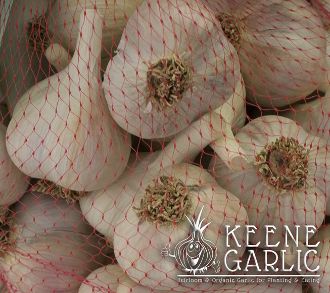 Gourmet Eating Garlic Certified Organic