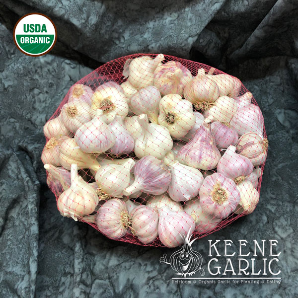 Gourmet Eating Garlic Certified Organic