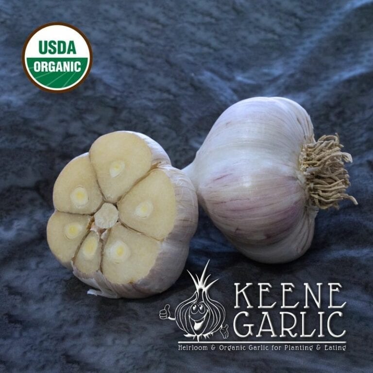 Browse dozens of hardneck and softneck garlic varieties. Keene Garlic
