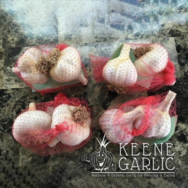 1LB. Gourmet Garlic Planting Sampler