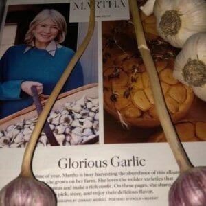 Martha Stewart Magazine on Growing Keene Garlic