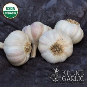 Italian Rocambole Certified Organic Garlic Bulb