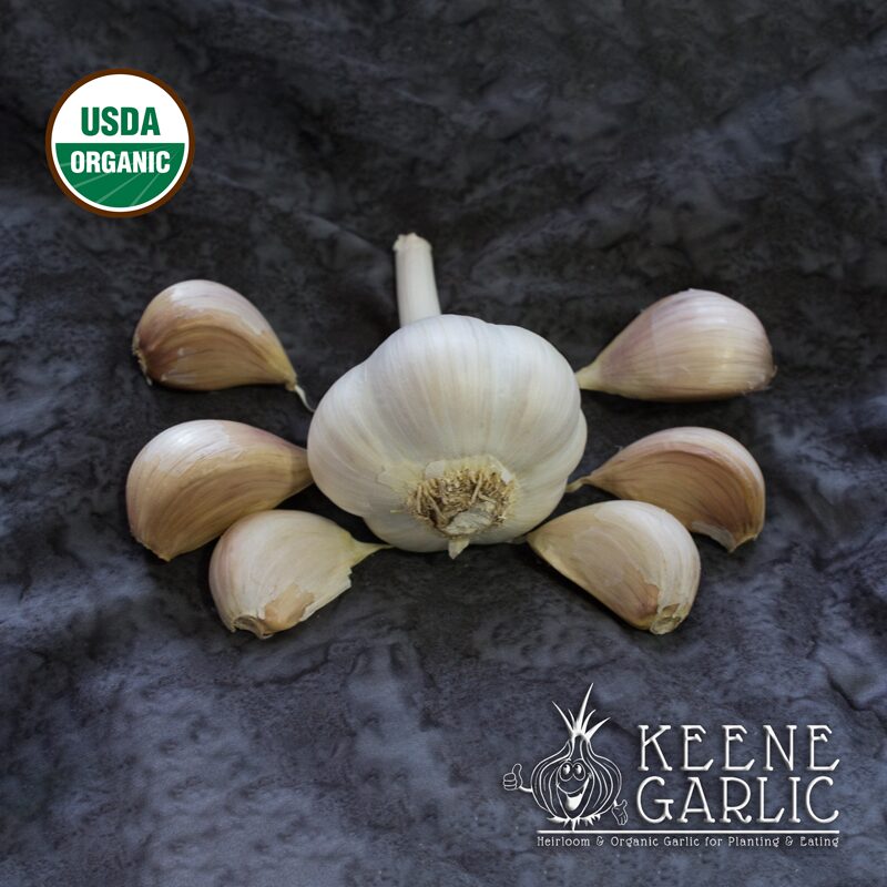 Armenian-Organic-Keene-Garlic