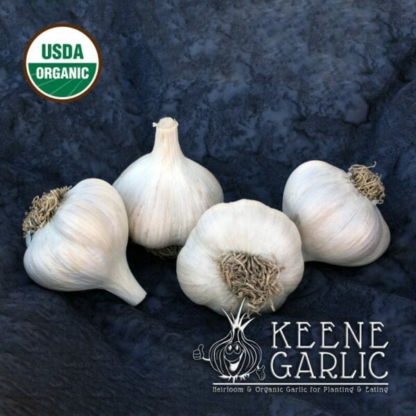 Russian Inferno Certified Organic Garlic Bulbs