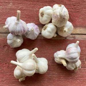 Backyard Gardener's Garlic Package 2lb