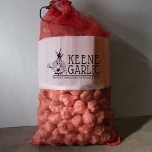Garlic Seed Stock Bulk Order - 10lbs. Garlic Bulbs