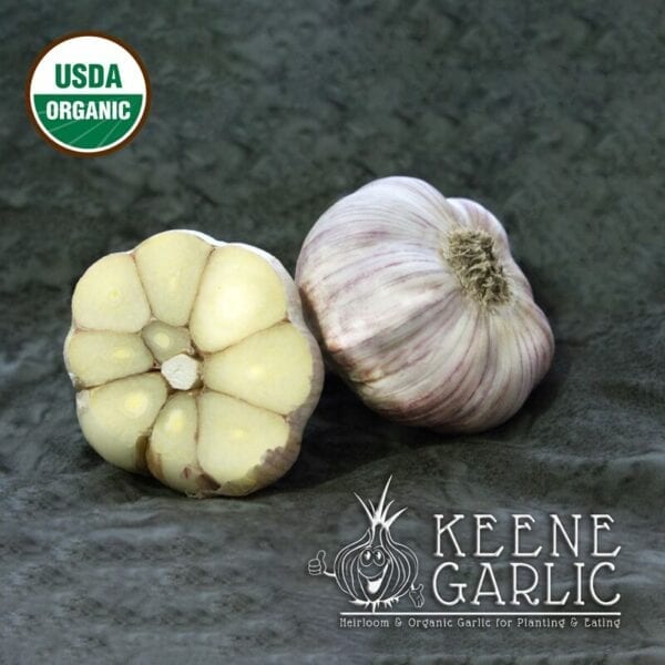 Red Grain Certified Organic Garlic Bulbs