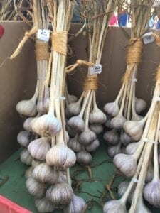 Curing hardneck garlic in braids