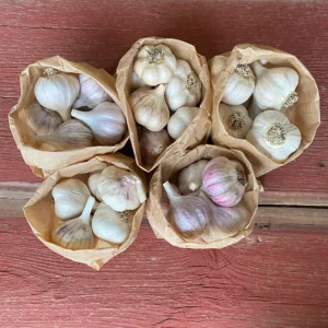 Garlic Grower's Sampler Package 5lb