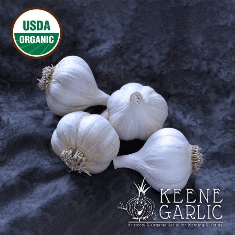 Browse dozens of hardneck and softneck garlic varieties. Keene Garlic