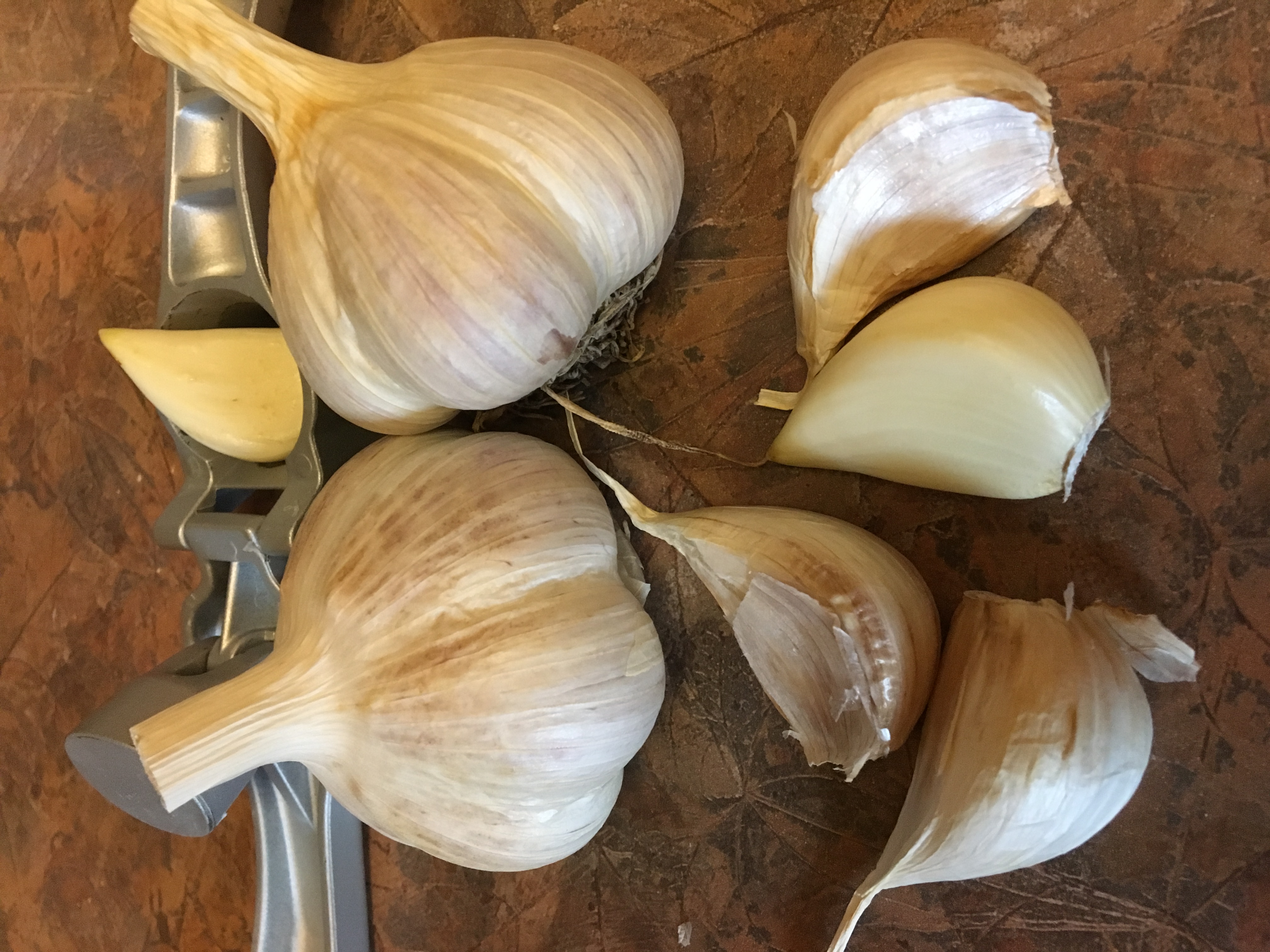 Medicinal garlic