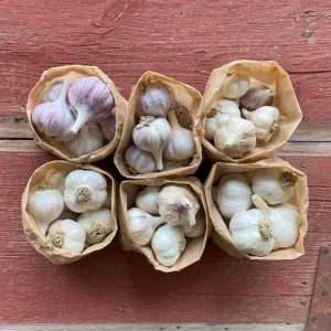 Large Homestead Garlic Package 7lb