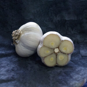 Majestic Certified Organic Garlic Bulbs