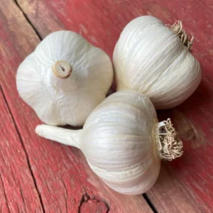 Music Certified Organic Garlic Bulbs