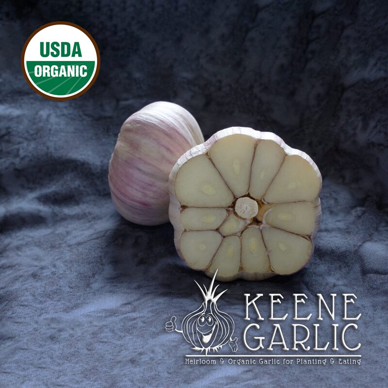 Vietnamese Red Organic Keene Garlic Bulb