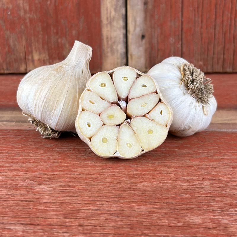 Amish Rocambole Naturally Grown Garlic Bulbs