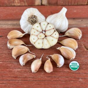 Amish Rocambole Certified Organic Garlic Bulbs