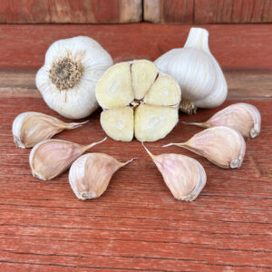 Asian Tempest Naturally Grown Garlic Bulbs