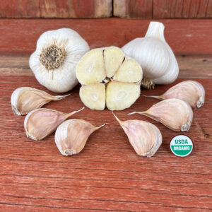 Asian Tempest Certified Organic Garlic Bulbs