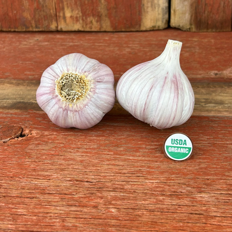 Georgian Fire Certified Organic Garlic Bulbs