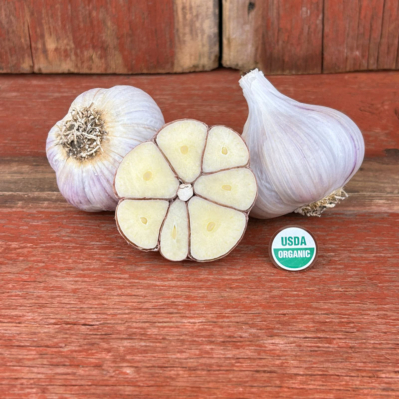 Georgian Fire Certified Organic Garlic Bulbs