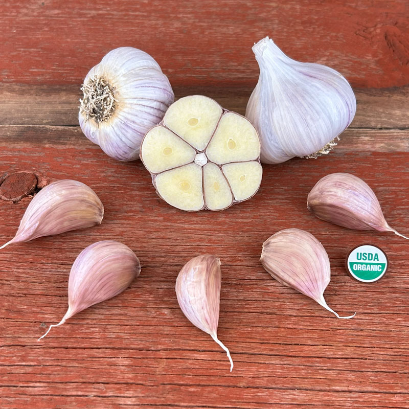 Georgian Fire Certified Organic Garlic Bulbs