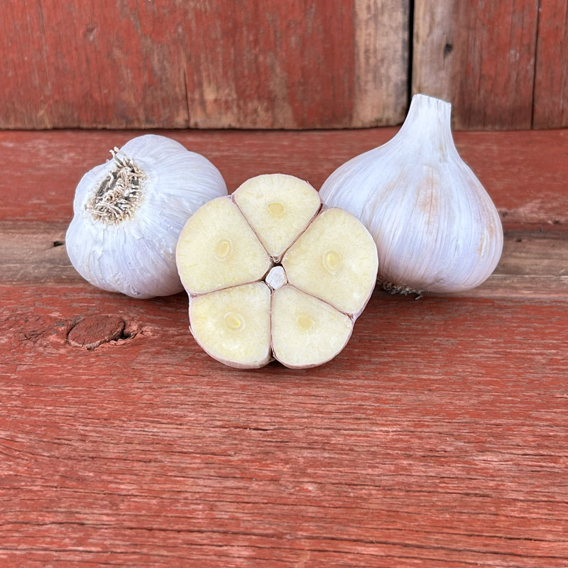 German Extra Hardy Naturally Grown Garlic Bulbs