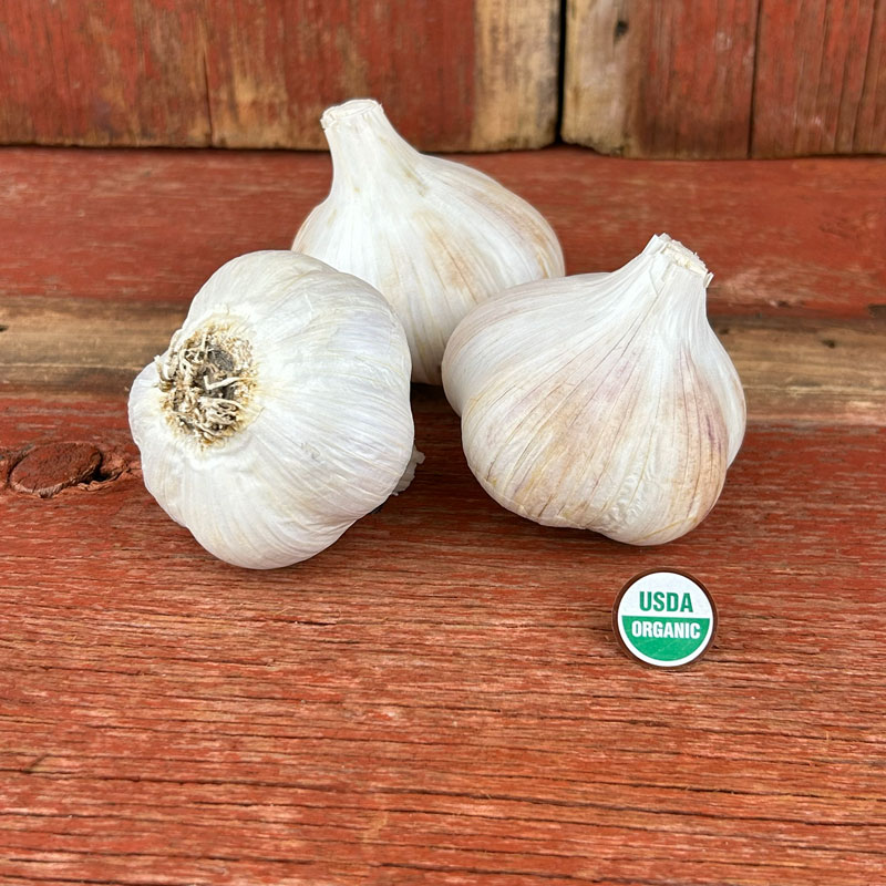 German Extra Hardy Certified Organic Garlic Bulbs