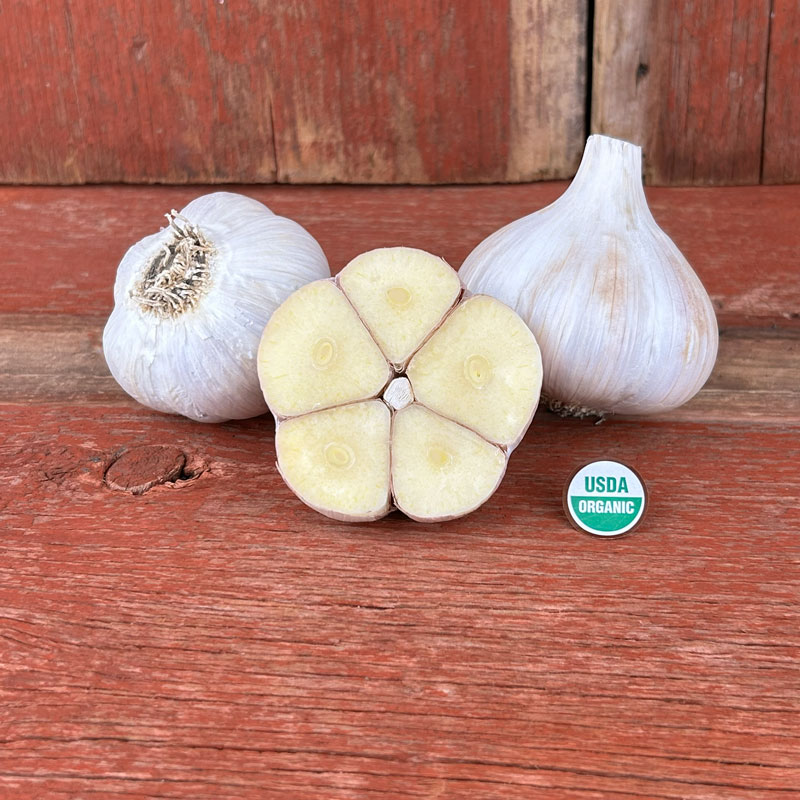 German Extra Hardy Certified Organic Garlic Bulbs