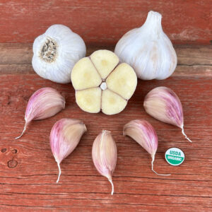German Extra Hardy Certified Organic Garlic Bulbs