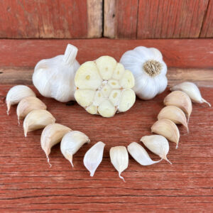 Inchelium Red Naturally Grown Garlic Bulbs