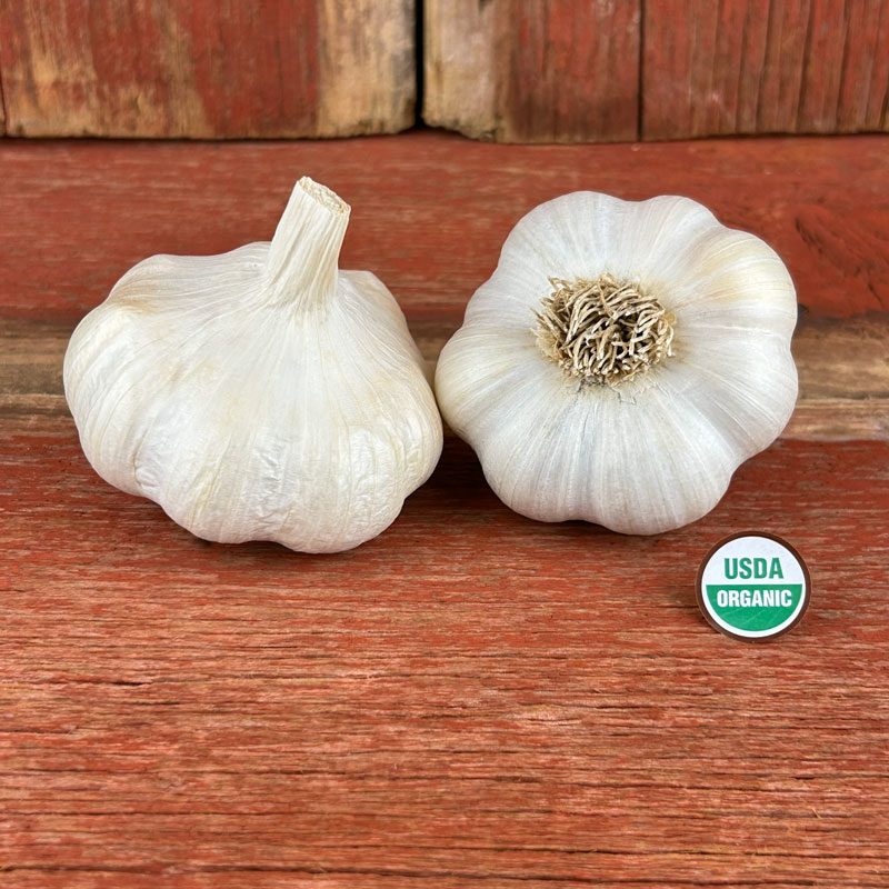 Inchelium Red Certified Organic Garlic Bulbs