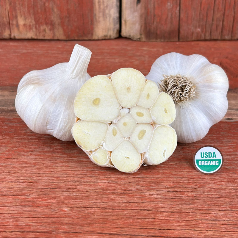 Inchelium Red Certified Organic Garlic Bulbs