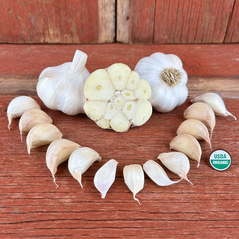 Inchelium Red Certified Organic Garlic Bulbs