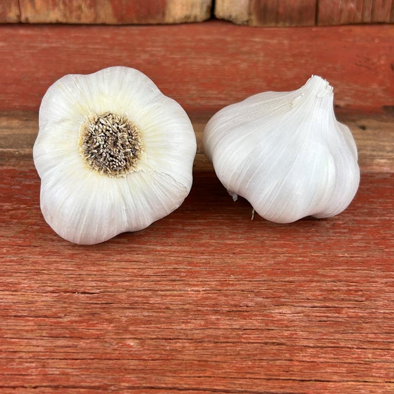 Lorz Italian Naturally Grown Garlic Bulbs