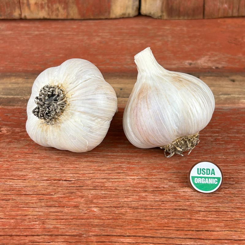 Northern White Certified Organic Garlic Bulbs