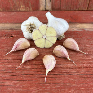 Romanian Red Naturally Grown Garlic Bulbs