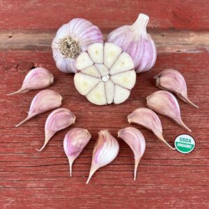 Vietnamese Red Certified Organic Garlic Bulbs