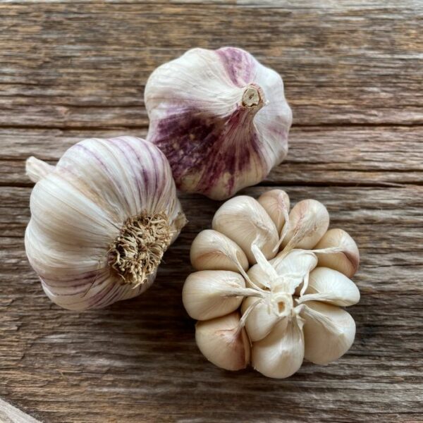Blossom Naturally Grown Garlic Bulbs