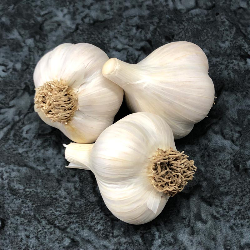 Montana Giant Organic Keene Garlic