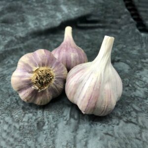 Pehoski Purple Certified Organic Garlic Bulbs
