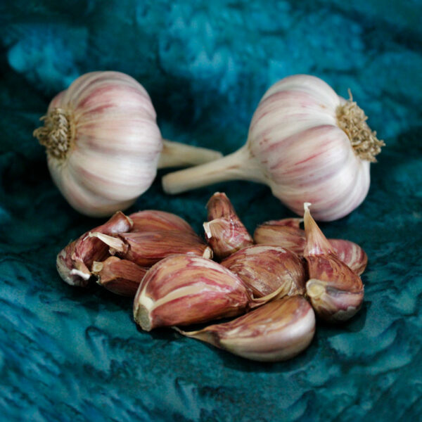 Persian Star Certified Organic Garlic Bulbs