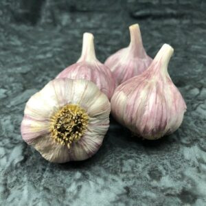 Purple Glazer Certified Organic Garlic Bulbs