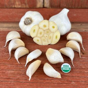 California White Certified Organic Garlic Bulbs