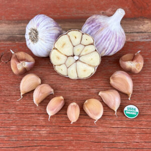 Killarney Red Certified Organic Garlic Bulbs