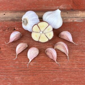 Montana Giant Naturally Grown Garlic Bulbs