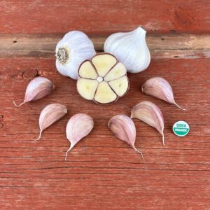 Montana Giant Certified Organic Garlic Bulbs
