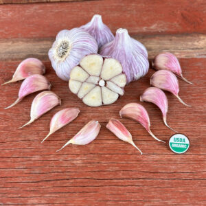Persian Star Certified Organic Garlic Bulbs