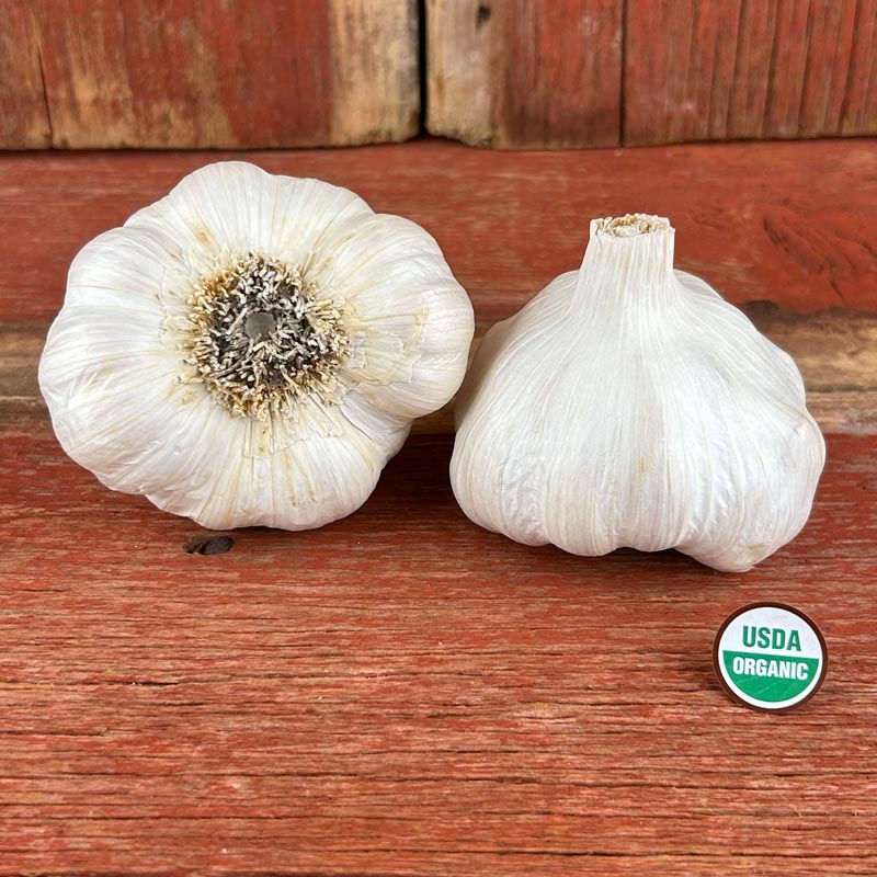 Nootka Rose Certified Organic Garlic Bulbs