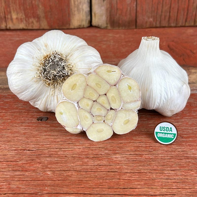 Nootka Rose Certified Organic Garlic Bulbs